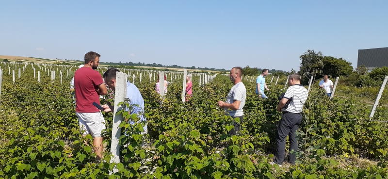 Новий інвестиційний проєкт у сільськогосподарській галузі 