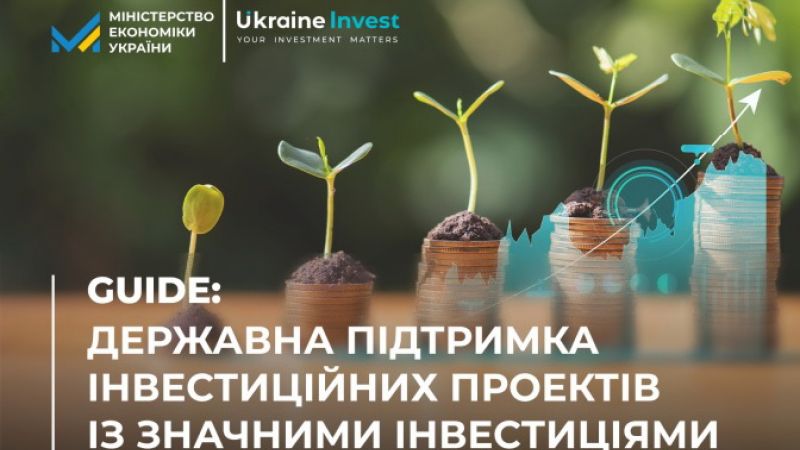 Державна підтримка інвестиційних проектів із значними інвестиціями в Україні